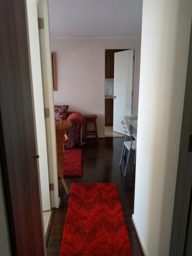 Appartement Plaza Brintrup à Puerto Varas Extérieur photo
